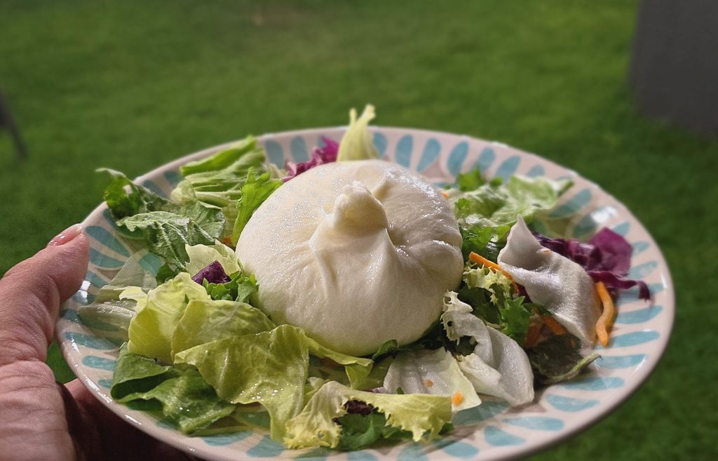 Mozzarella experience